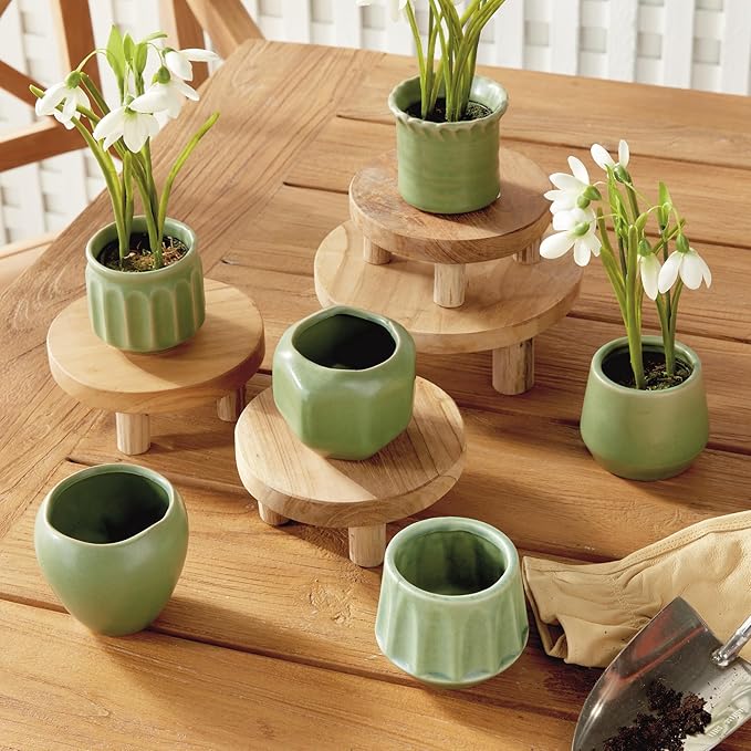 Napa Home & Garden DEZIE MINI POTS Set of 6 Green