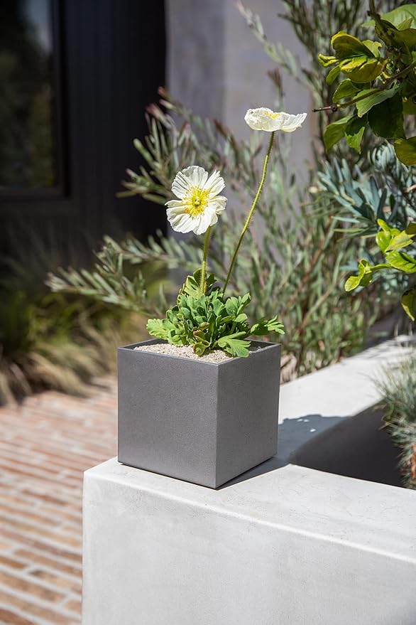 Veradek Forma Series Cube Planter - Square Planter for Window Sill/Table Decor | Made from Plastic-Stone Material | Modern Décor for Succulents, Indoor Small Plants