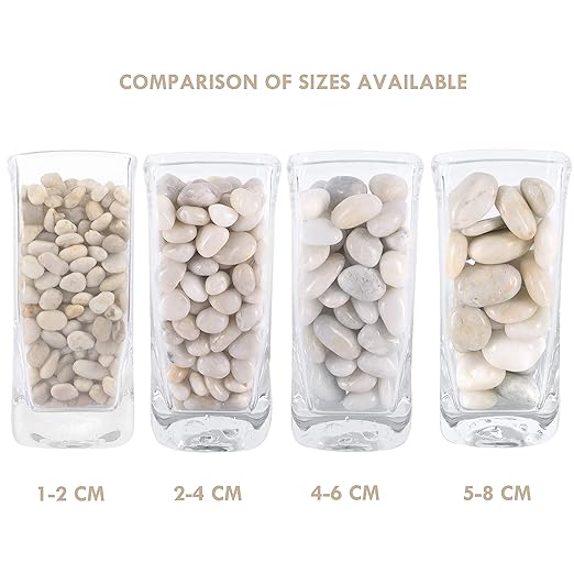 5 lbs Approx. 130 White River Rocks Stones for Plants Pebbles for Indoor Plants | Aquarium Fish Tank Rocks | Polished Decorative Rocks for Vases (0.8-1.6 Inches)