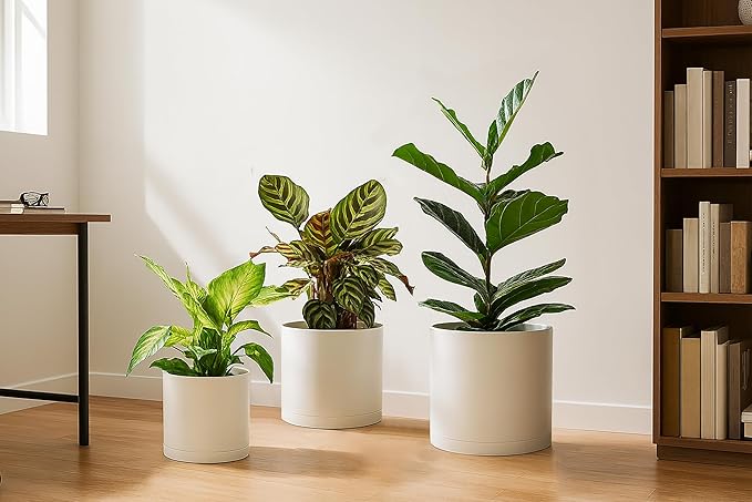 D'vine Dev 6.5 Inch 8 Inch 10 Inch, Set of 3 Plastic Planter Pots for Plants with Drainage Hole and Seamless Saucer, Oatmeal, Large, 74-V-H-4