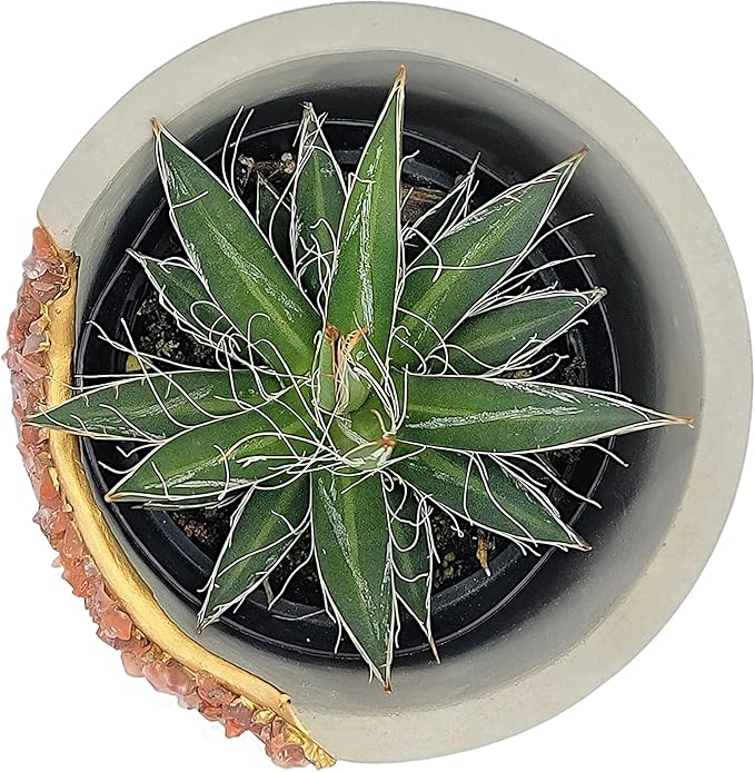 4” Crystal Plant Pot with Saucer - Cement Geode Planter - Concrete Pots for Plants - Modern Succulent Pot Indoor - Unique Air Plant Holder - Candle Holder - Small Plant Home Decor (Orange Carnelian)