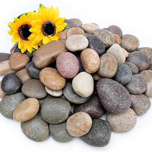 NUPICK 12lb Mexican Beach Pebbles, 2-3" Large River Rocks for Landscaping, Smooth Garden Rocks for Outdoor Paving, Natural Pebbles for Indoor Plants, Decorative Stones for Planters, Fish Tank,Fountain