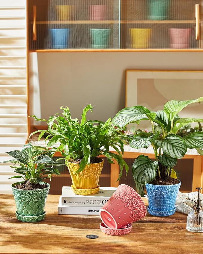 Ceramic Plant Pots, 5.8 Inch Flower Pots for Indoor Plants, Planters with Drainage Hole & Saucer, Garden Planters for Succulent, Orchid, Cactus, Home Decor, Set of 4, Assorted Colors