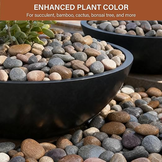 NUPICK 12lb Mexican Beach Pebbles, 2-3" Large River Rocks for Landscaping, Smooth Garden Rocks for Outdoor Paving, Natural Pebbles for Indoor Plants, Decorative Stones for Planters, Fish Tank,Fountain