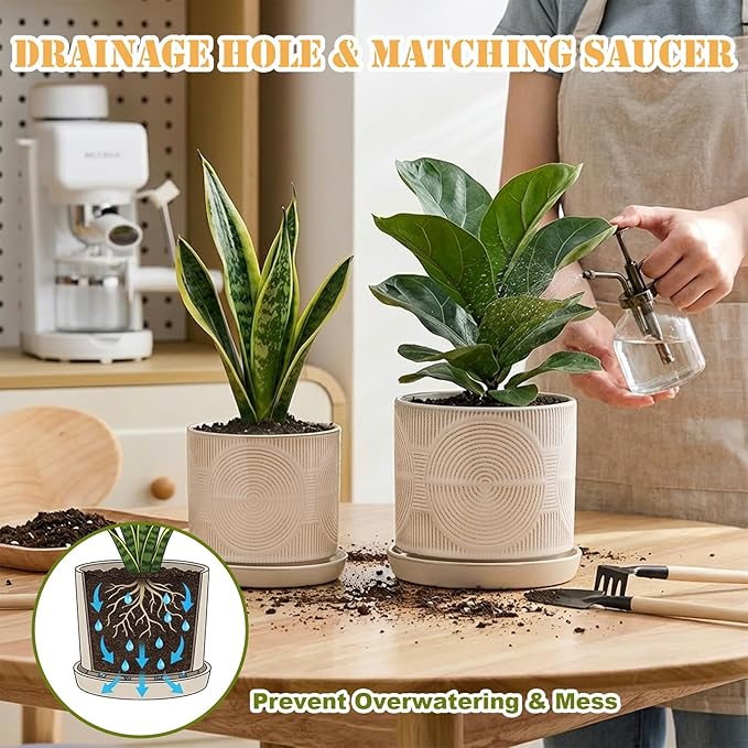 Ceramic Plant Pots, Set of 2, Pots for Plants(4.5+5.5inch), Flower Pots for indoor planters with drainage and tray, Indoor Plant Pots for Succulents Cactus Herbs - Small Planters for Home Office Decor