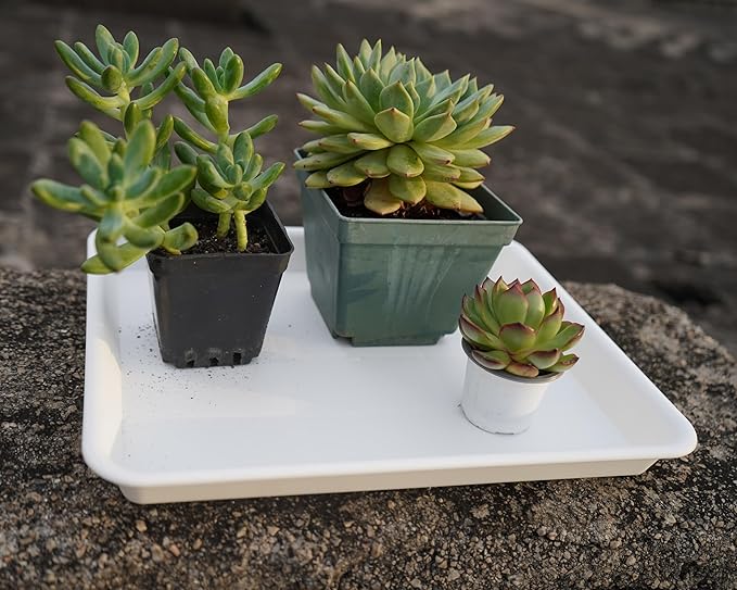 2 Pack Plant Growing Nursery 1020 Trays, Heavy Sturdy Seed Starting Saucer, No Holes Starter Tray for Indoors (22"x11.2", Creamy White)