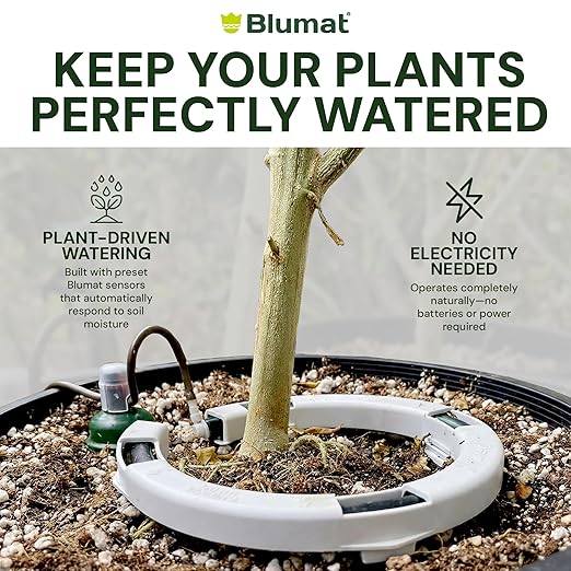 Grow Tent Drip Irrigation System - Blumat Watering Kit for 2 Large Pots (10-20 Gallon) - Automatic Grow Tent Watering System with Efficient Preset Blumat Sensors (Bucket not Included)