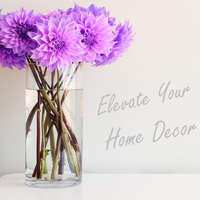 CYS Excel Large Glass Cylinder Vase (H:16" D:8") Flower Vase Centerpieces Hurricane Floating Pillar Candle Holder Terrarium Planter
