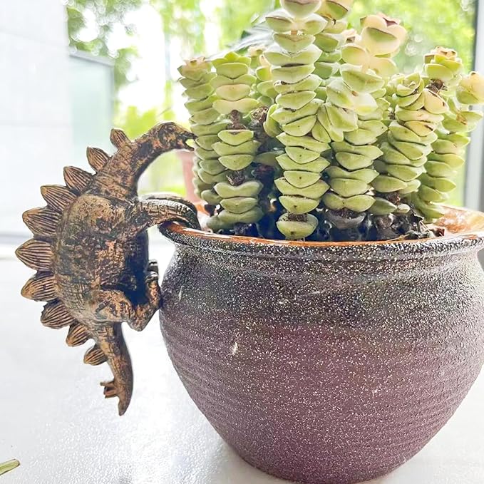 Mini Resin Dinosaurs, Dinosaur Garden Statues, Flower Pot Plant Decoration, Fairy Garden Accessories, for Family or Friends,This is a Unique (Sword Dragon)