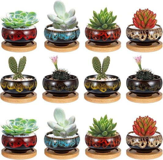 12 Pcs Ceramic Succulent Garden Pots Succulent Small Plant Cactus Planter Ceramic Pot with Drainage Hole and Bamboo Tray Matte Round Container (2.5 Inch)