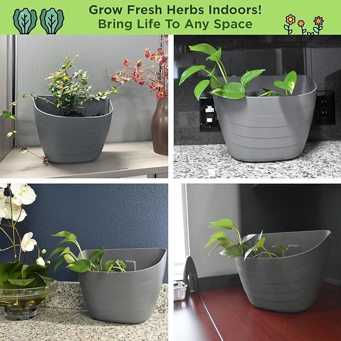 12 Inch Self-Watering Wall Planter for Indoor & Outdoor Use – Vertical Hanging Planter, BPA-Free, UV-Resistant – Perfect for Flowers, Herbs & Vegetables (Black, with Plug)