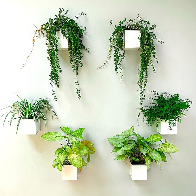 LaLaGreen Wall Planter - 6 Pack, 4 Inch Square Metal Wall Planter for Indoor Plants, Small White Wall Mounted Flower Pots Outdoor Herb Garden Decor, Balcony Railings Hanging Buckets Porch Patio