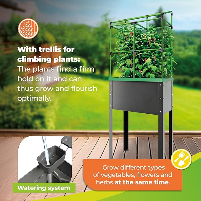 BioGreen Raised Garden Bed with Trellis Heidelberg | 11 gal | 1“L x 2.3“W x 7.6“H | Self-Watering Metal Planter Box | Ideal Growth for Climbing Plants