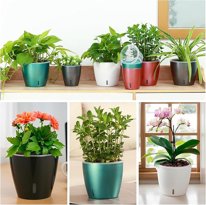 Self Watering Pots for Indoor Plants, 6-Pack 5'' Self Watering Planter with Drainage Holes, Small African Violet Pots with Water Indicator, Clear Wick Orchid Pot, Grey Gold