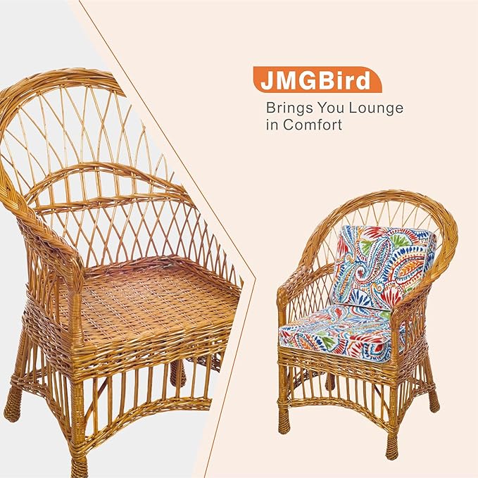 JMGBird Outdoor Chair Cushions Set of 2-22x22 Water Resistant Paisley Pattern Seat Cushions with Ties for Patio Furniture