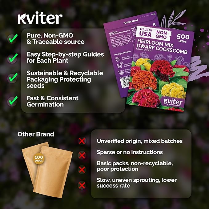 KVITER 500 Dwarf Mix Cockscomb Seeds for Planting (Celosia argentea) – Woolflower Rooster Comb Celosia Seeds for Planting Flowers – Heirloom Flowers Plant Seed Mix Garden Container Flower Beds Outdoor