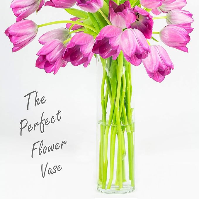 CYS Excel Large Glass Cylinder Vase (H:22" D:8") Flower Vase Centerpieces Hurricane Floating Pillar Candle Holder Terrarium Planter