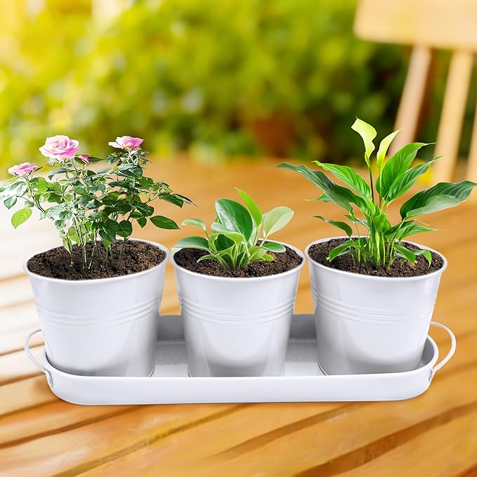 TCBWFY Indoor Herb Garden Planter Set, 3-Pack 4.7 Inch White Metal Plant Pots with Drainage Holes & Removable Tray, Windowsill Planter for Kitchen Countertop, Balcony, Office