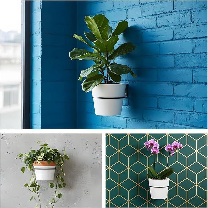 8 Pack 6 Inch Flower Pot Holder Rings, Wall Mounted Metal Planter Hangers with Screws, Indoor Outdoor Plant Stand Hanging Brackets for Garden Decor