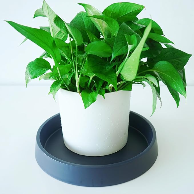 4 Pack Plant Saucer Tray for Ceramic Plastic Pots, 6 inch Plant Saucers for Indoors, Pot Saucers Trays, Flower Planter Water Drip Trays for Pots Base (6", Blue)