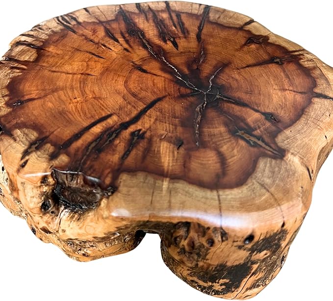THY COLLECTIBLES Natural Tree Trunk Stump Stool with Live Edge Solid Wood Plant Stand, Stool, Garden Bench, Side Table, End Table (D10 in x H4 in)