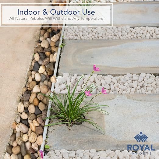 River Rocks Decorative Ornamental Vase Filler Aquarium Gravel White, Large 5 lbs - Landscaping Pebbles for Indoor Plants, Fish Tank Gravel, Terrarium & Home Decor, DIY & Crafting – Royal Imports