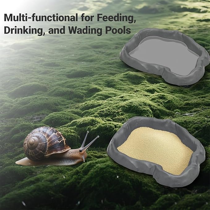 2 Pack Snail Food and Water Bowl，atural Design Food Bowl for Pet Snails, Garden Snails Pet Land Snail Supplies