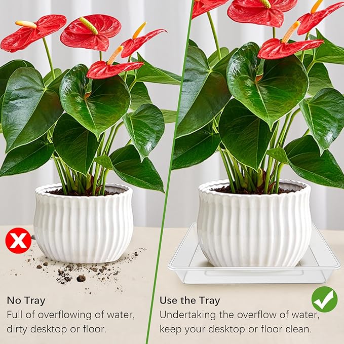 6 Pack 14 Inch Square Plant Saucer, Clear Durable Thick Plant Pot Dish for Flower Pot, Plastic Plant Tray to Catch Water for Indoor Outdoor
