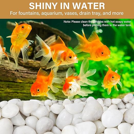 NUPICK 16lb White River Rocks for Outdoor Landscaping, 2-3 Inch Pebbles for Indoor Plants, Natural Polished Aquarium Gravel, Decorative Rocks for Succulent, Garden, Vases Fillers, Bird Baths