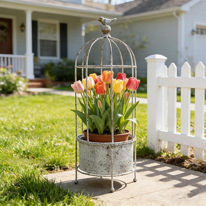Rustic Vintage Birdcage Planter on Stand Farmhouse Distressed Decorative Metal Round Plants Holder Flower Pot with Latch Lock Closure for Garden Patio Yard Home Outdoor Balconies Decor
