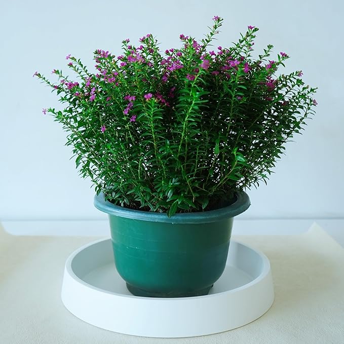Plant Saucer Tray for Ceramic Plastic Pots, 14 inch Plant Saucers for Indoors, Pot Saucers Trays, Bird Bath Bowls, Flower Planter Water Drip Trays for Pots Base (14", White)