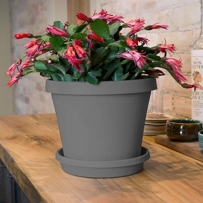Bloem Terra Resin Saucer Tray: 9.25" Bottom Width - Charcoal - Matte, Durable, Ribbed Bottom, Indoor and Outdoor, Fits 12" Terra Pots