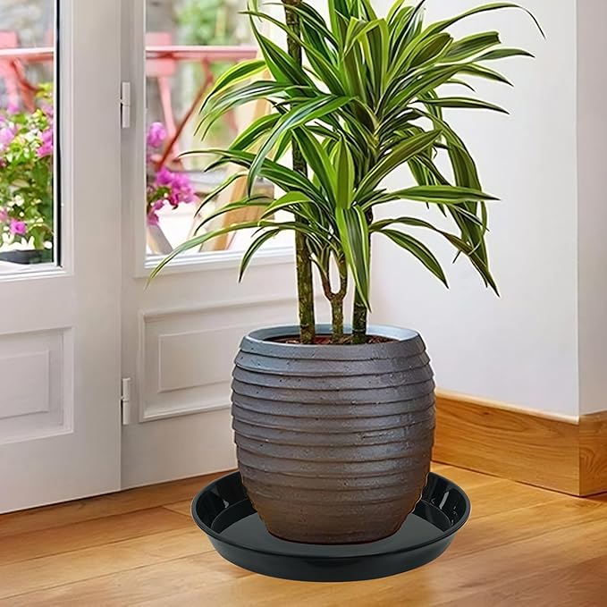 Plant Saucer Tray 6 inch, 6 Pack Plastic Plant Saucers for Indoors Outdoor, Heavy Duty Drainage Drip Water Trays for Planter Pots Flower, saucers for potted plants (6", Black)