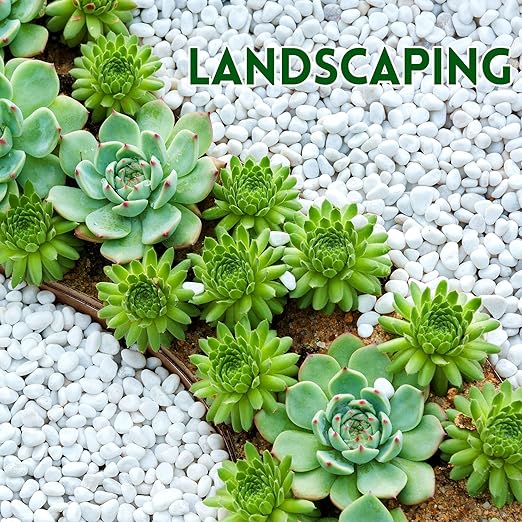 5 lb Jade Pebbles for Indoor Plants, 3/8 Inch Polished Decorative Pebbles for Vase, Bamboo, Succulent, Garden Landscape Decoration River Stone