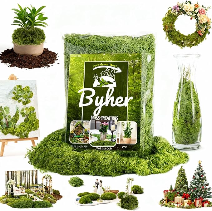 BYHER Fake Moss for Crafts – 3.5OZ Fluffy Cloudlike Artificial Moss for Potted Plant Indoor & Fairy Gardens – Realistic Green Moss Alternative for Terrariums, Dioramas, Model Scenes (Light Green)