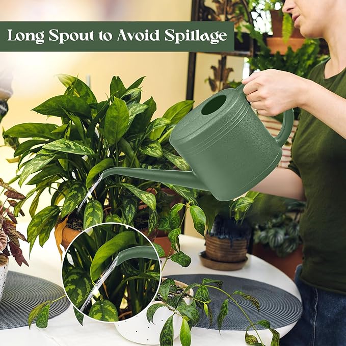 Watering Can - for Indoor and Outdoor Plant Garden - 1/4 Gallon - Green