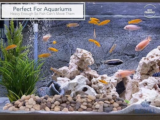 River Rocks Decorative Ornamental Vase Filler Aquarium Gravel Natural, Small 1 lb - Landscaping Pebbles for Indoor Plants, Succulents,Terrarium & Home Decor, DIY & Crafting – Royal Imports