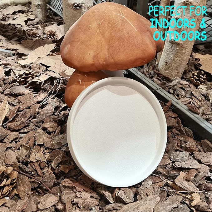 Ceramic Plant Saucer 7 Inch, 2 Pack Round Plant Trays for Indoors/Outdoors, Flower Pot Saucers for Holding Water Drips and Soil, Ceramic Drainage Tray for Plant Pot (Frosted White)