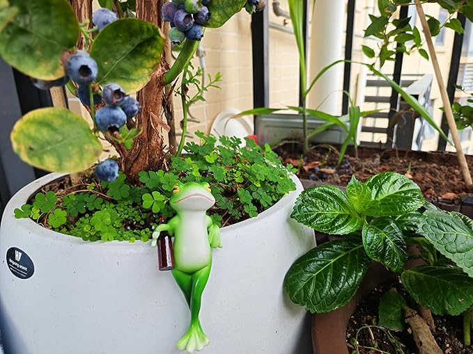 Happy Tiny Frogs Garden Statue – Outdoor Decorative Frog Planter for Plants, Small Cute Frogs Figurine for Lawn & Garden Decor – Funny Frog Gift for Women, Fairy & Pot Decor
