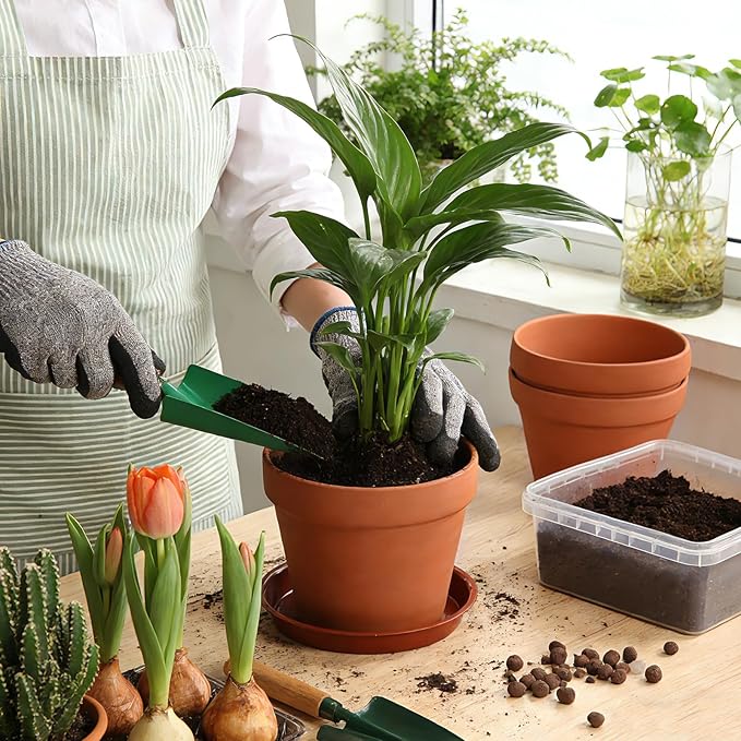 6 PCS Clay pots and Plates, 5-inch red Clay pots with Drainage, Perfect for Indoor, windowsill, and Garden Plants