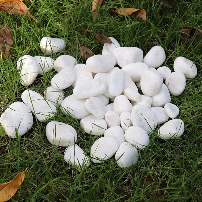 Around 5 Pounds of Matte White Decorative Stones - Perfect for Aquariums, Vase Fillers, Table Scatter, Much More!(Panacea White River Stone)