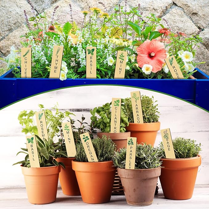 Teling 50 Pcs Wooden Plant Labels with Marker Pen DIY Garden Stakes Sign Sturdy Vegetable Plant Markers Wood Herb Garden Labels for Seed Potted Flowers Outdoor Indoor Kitchen Planter(Classic Style)