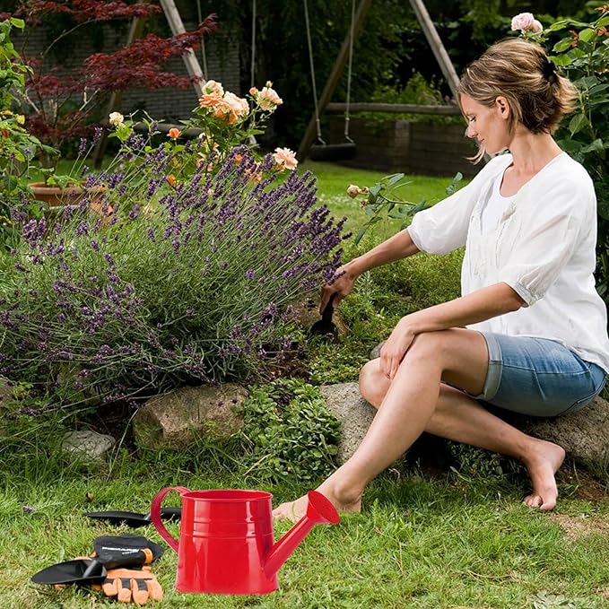 Watering Can Gardening Tool Accessories, Sprinkling Can 1L Metal Flower Garden Watering Can for Outdoor Indoor Plants Lawn Garden (red)