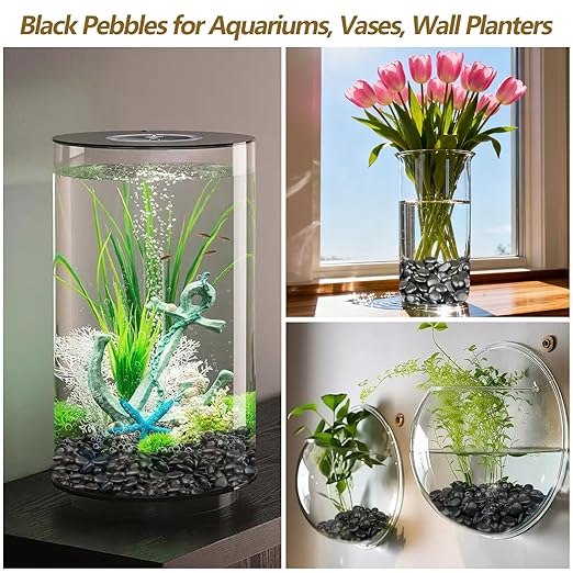 5LB Black Polished River Rocks, 0.5–1.0 inch Small Pebbles for Indoor Plants, Aquarium Rocks, Fish Tank Gravel, Decorative Stones for Planters, Vase Fillers & Landscaping Decor