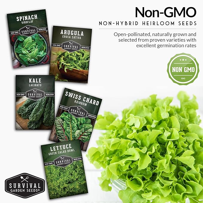 Leafy Greens Seeds Variety Pack – 5 Heirlooms: Viroflay Spinach, Arugula, Lacinato Kale, Salad Bowl Lettuce & Rainbow Swiss Chard – Cool Season Garden Collection - Survival Garden Seeds