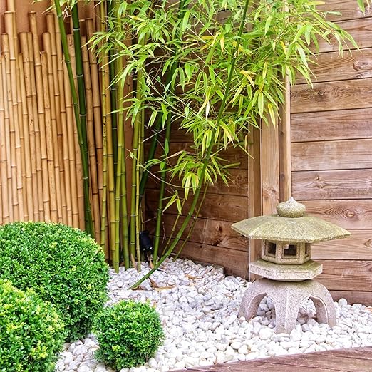 40 lbs White River Rocks for Landscaping, 2-3 Inch Polished Pebbles for Indoor Plants, Decorative White Stones for Planters, Vase, Aquarium, Fish Tank and Garden