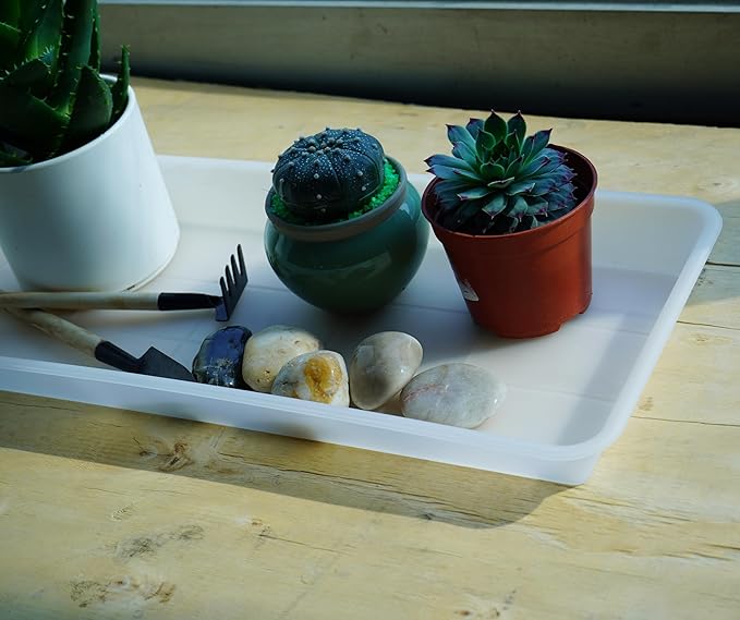 2 Pack of Plastic Plant Tray Saucer Rectangular 14 inch, Plant Trays Saucers for Indoors Outdoor, Plant Water Drip Tray for Flower Pot Planter, Windowsill Plant Tray (6.8 X 14.5'', Clear)