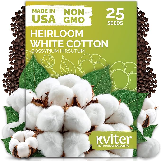 KVITER 25 White Cotton Seeds for Planting (Gossypium hirsutum) – Real Cotton Plant, Cottons Seeds for Growing, Heirloom & Non-GMO Cotton's Plant Seeds for Gardeners – Perfect for Ornamental or Fiber
