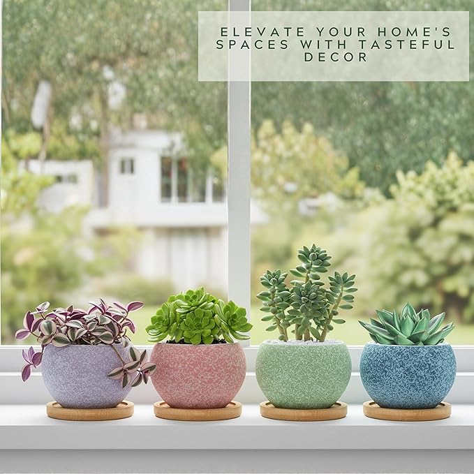 3 inch Ceramic pots for Plants, Small Succulent Pots Set with Drainage, 6 Pack Flower Pot for Indoor Plant, Planters for Little or mini Cactus 2 inches Plants