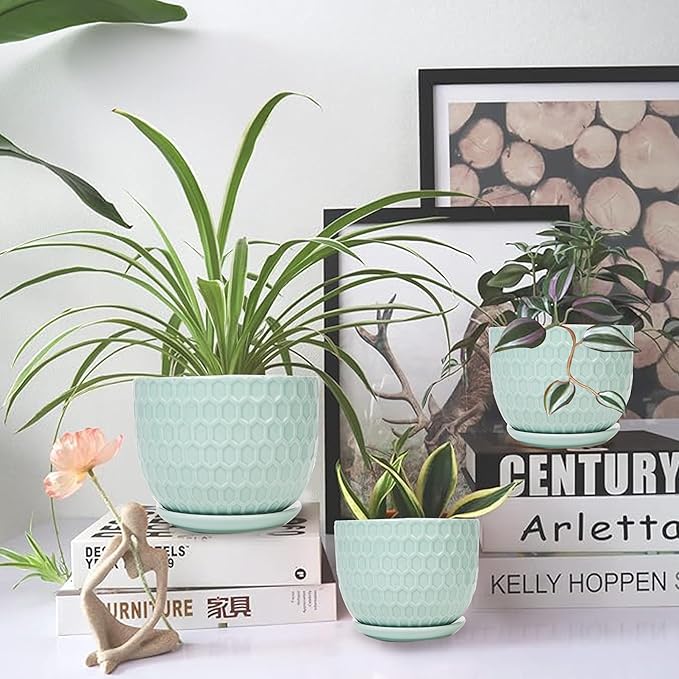 Ceramic Flower Pots with Drainage Hole and Saucer, Modern Round Succulent Planters with Honeycomb Inspired Texture Design, Small to Medium Sized, Set of 3, Green